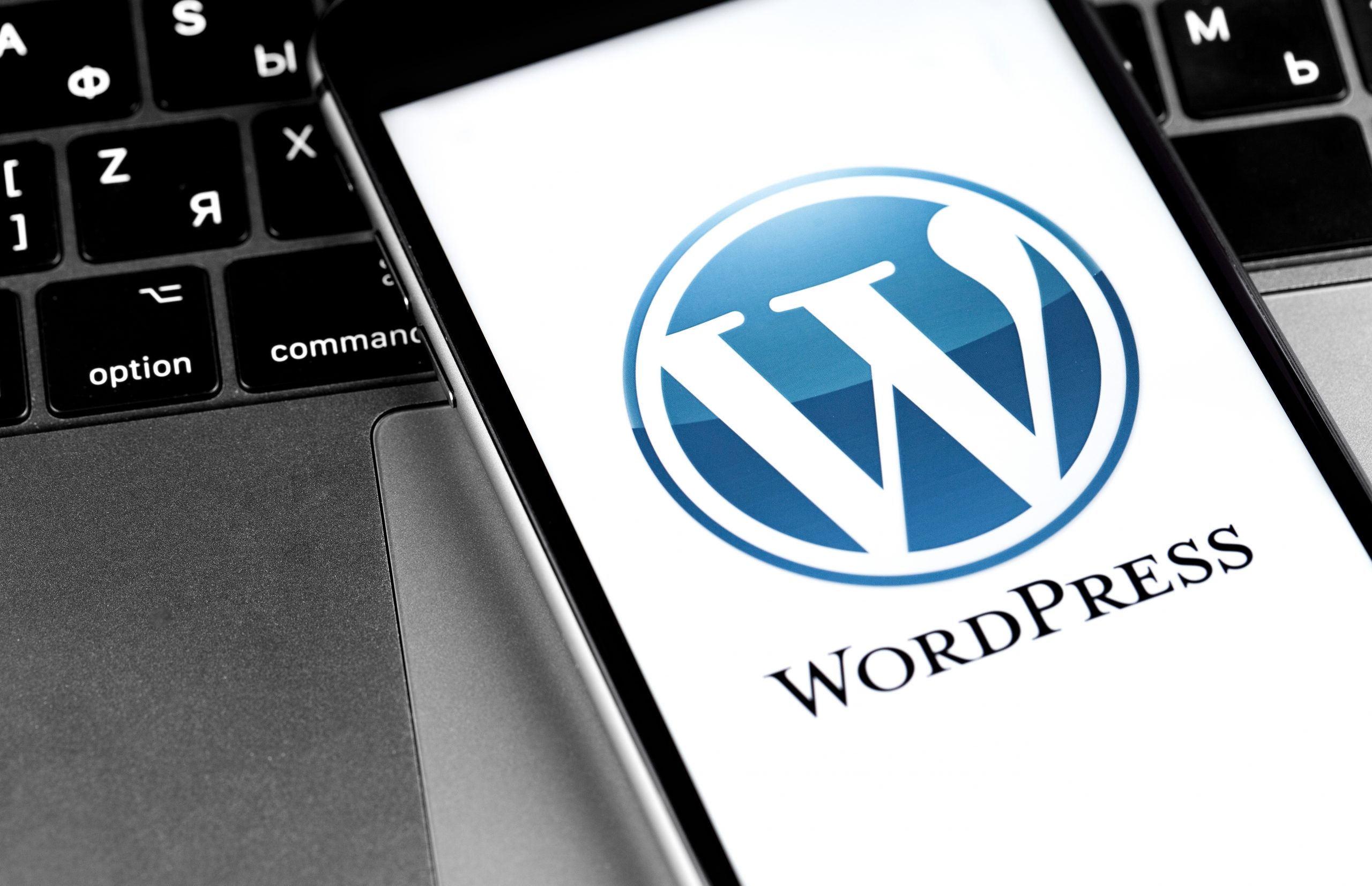 Remotely DIY Wordpress Website Wordpress